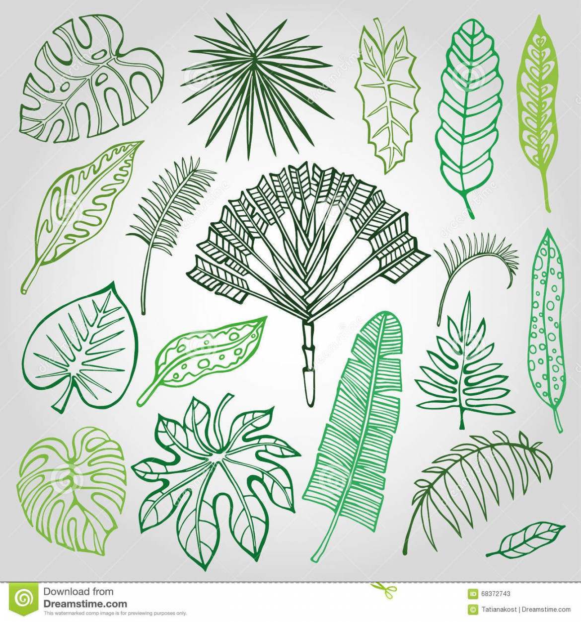 Tropical palm leaves,branches set