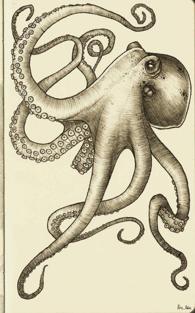 Undersuit design  Octopus drawing, Cool drawings, Octopus tattoos