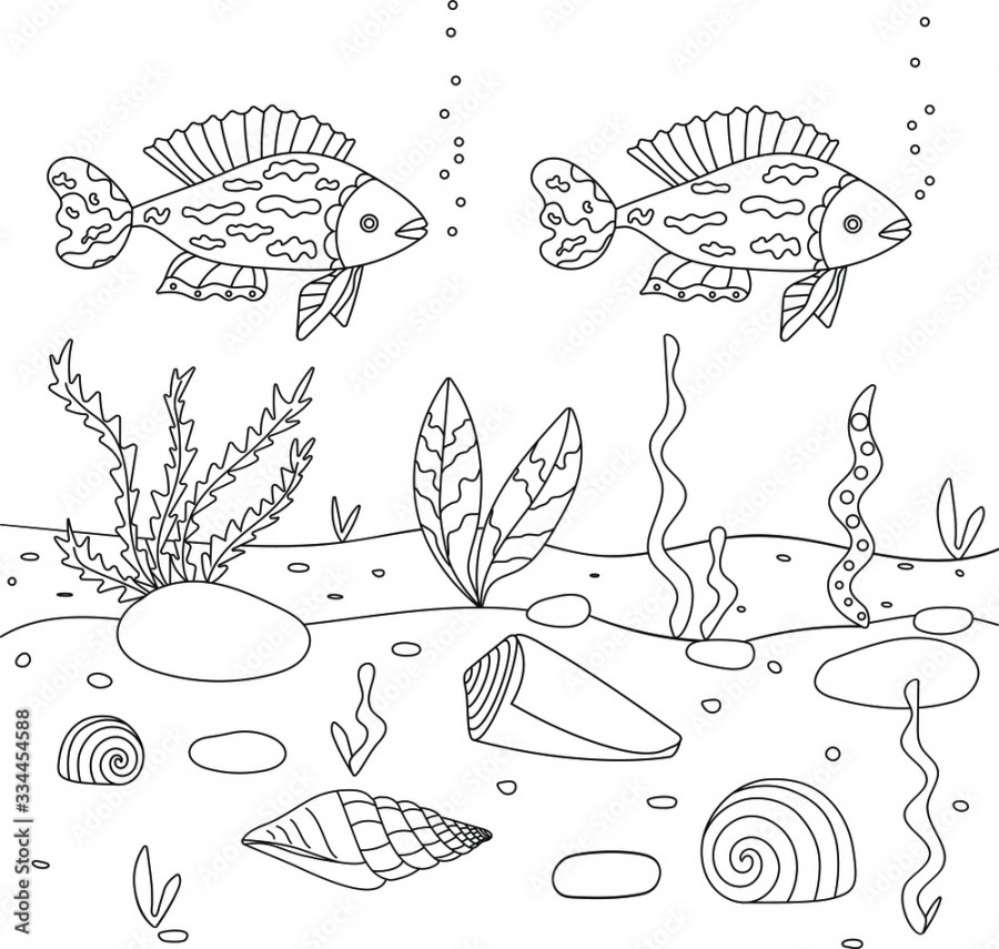 Vector illustration with algae, shell and fish, sea floor