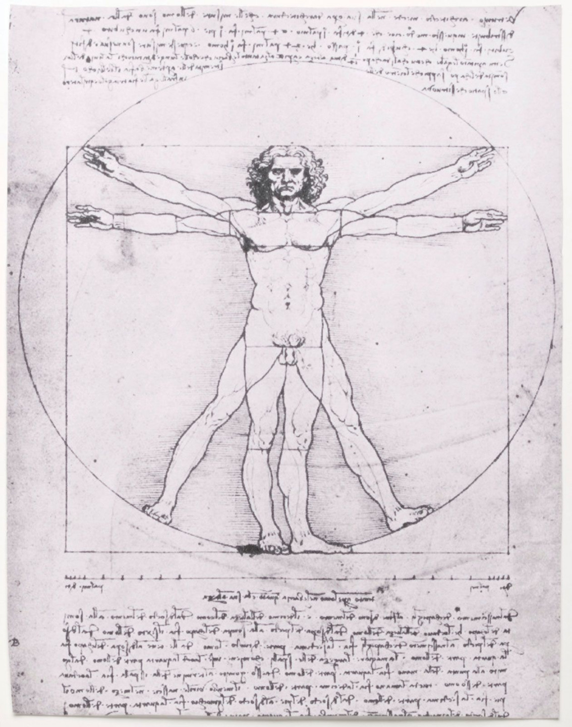 Vitruvian Man  History, Drawing, Leonardo da Vinci, Meaning