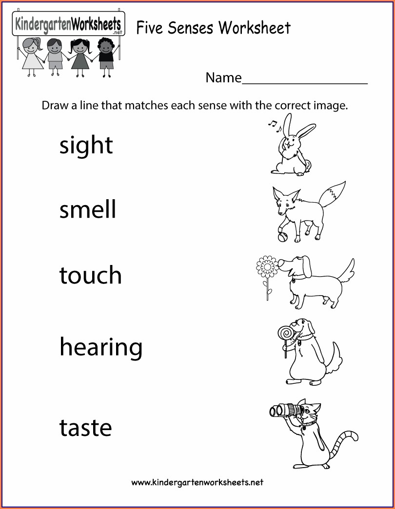 60 Science For Kindergarten Worksheets 6