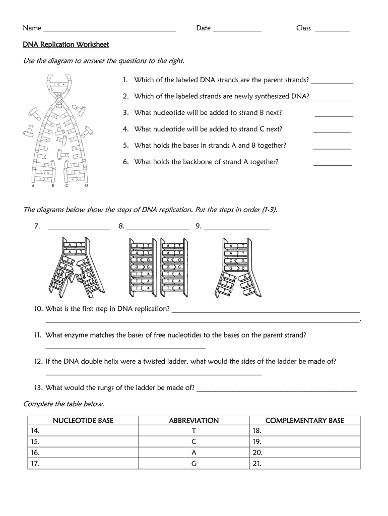 90 Dna Replication Practice Worksheets 76