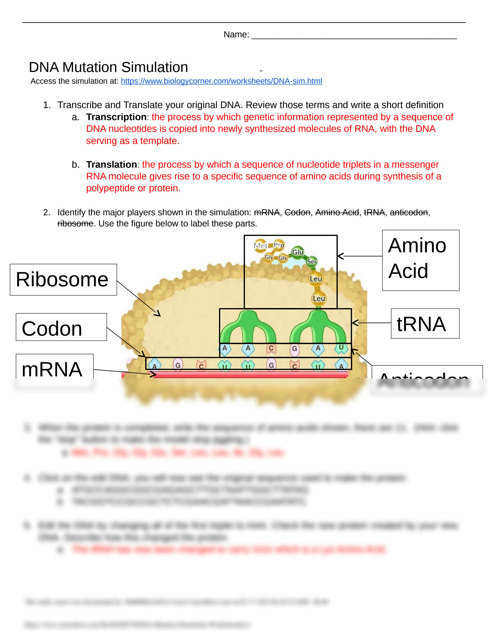 Best 45 Mutations Worksheets Answer Key Ideas 28