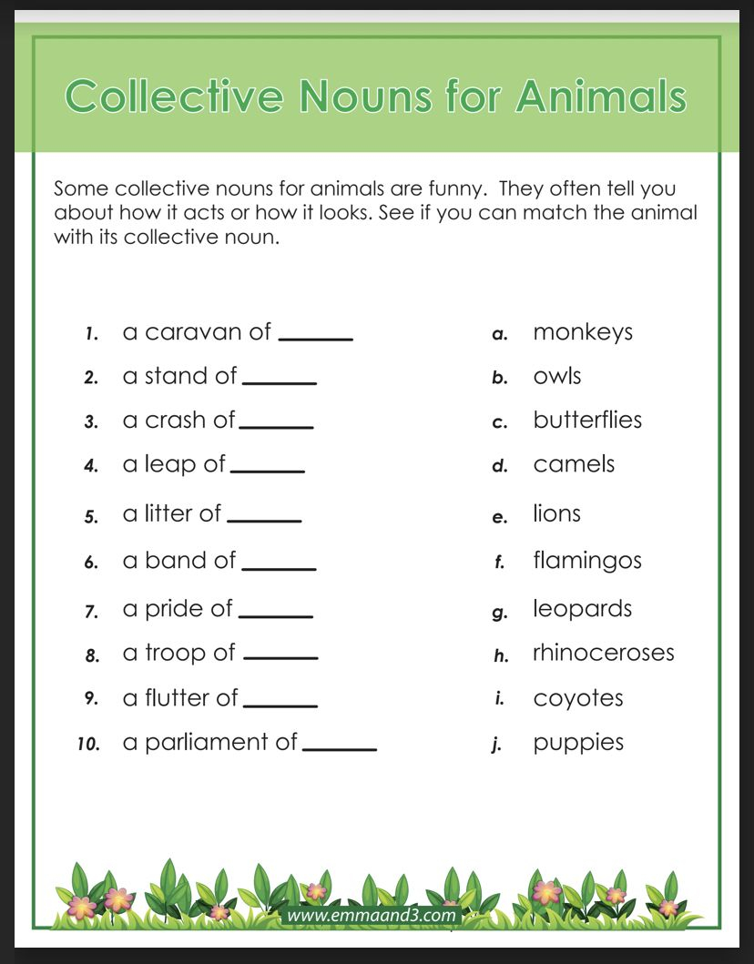 20 Collective Nouns Worksheet 2Nd Grade Worksheets