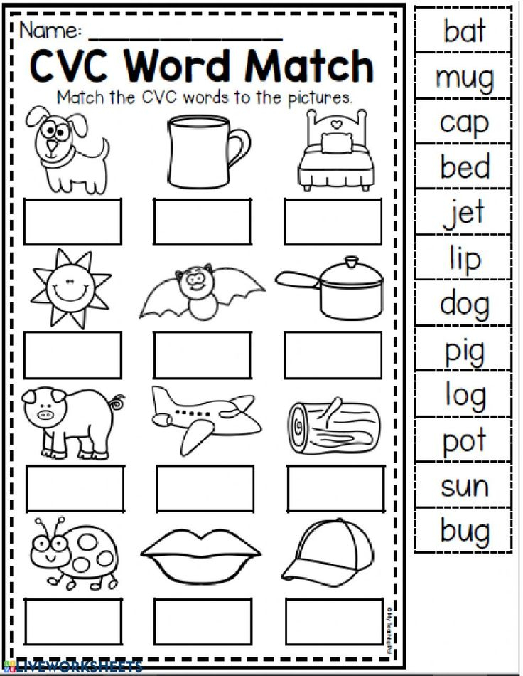 20 Cvc Worksheets Kindergarten Simple Sentences