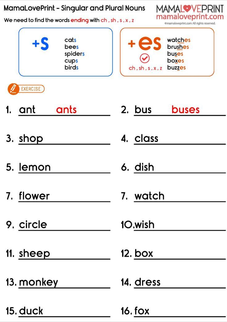 20 English Singular Plural Worksheets For Grade 1