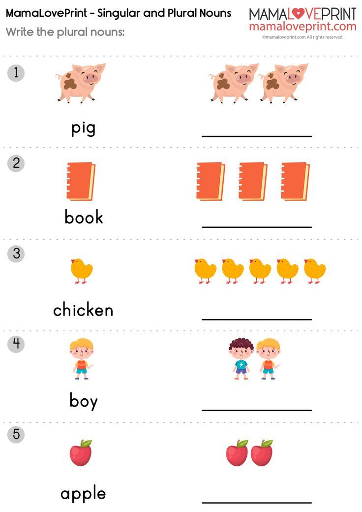 20 English Singular Plural Worksheets For Grade 1