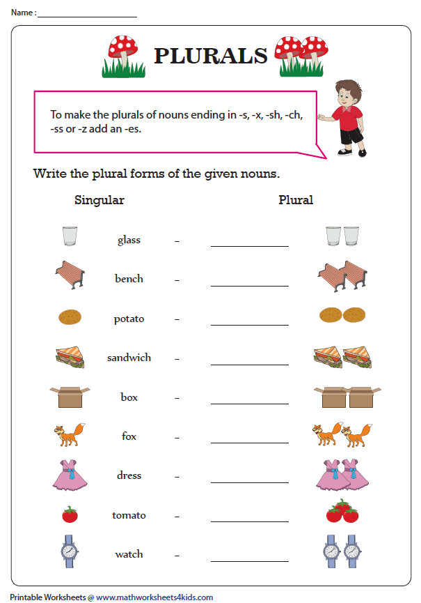 20 English Singular Plural Worksheets For Grade 1