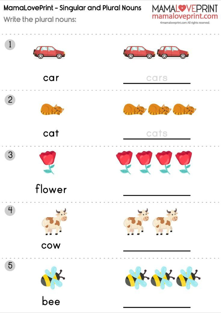 20 English Singular Plural Worksheets For Grade 1