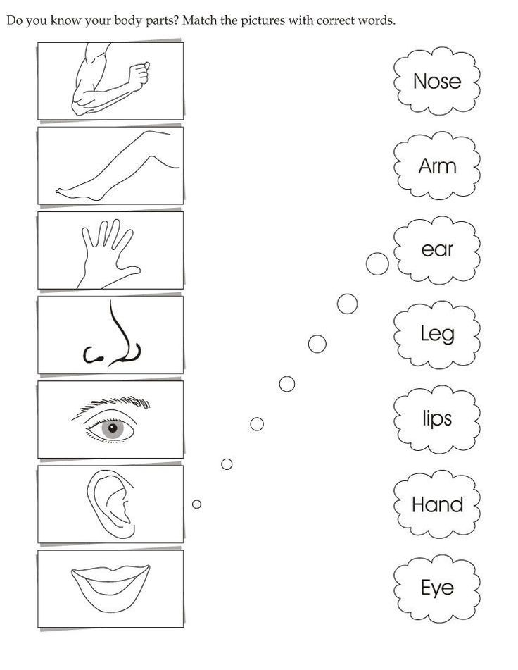 20 English Worksheets For Kindergarten Craft