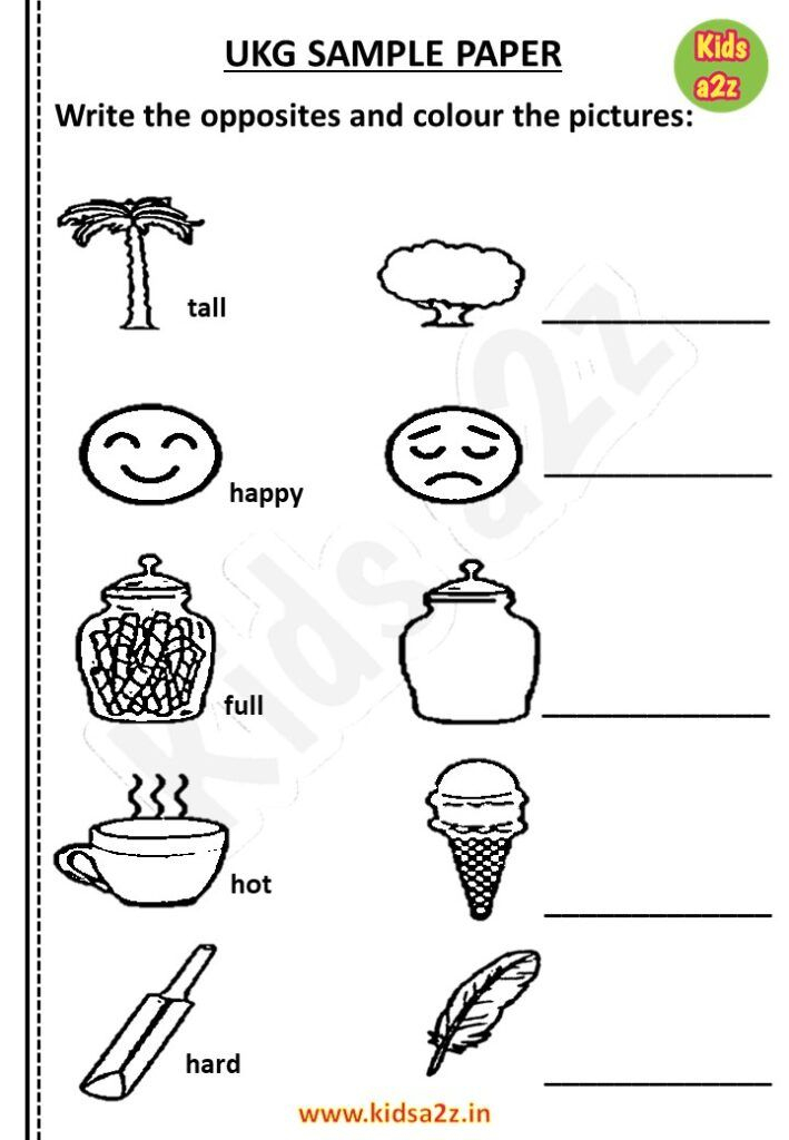 20 Kids Worksheets Preschool Kindergarten English