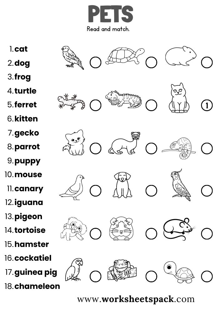 20 Kindergarten Worksheets Black And White