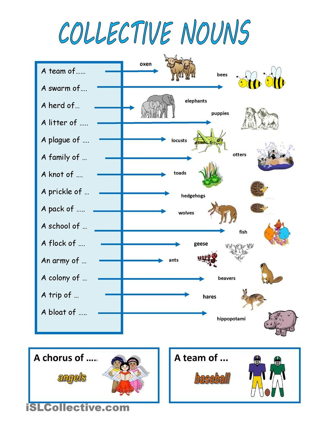30 Collective Nouns Worksheet 2Nd Grade Worksheets