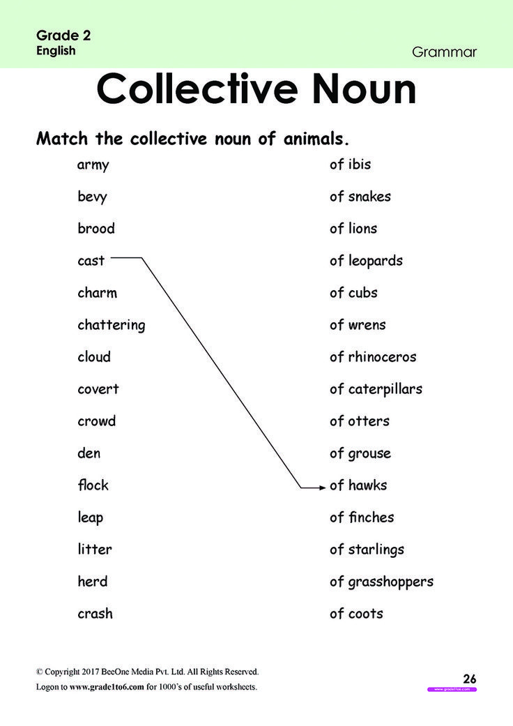 30 Collective Nouns Worksheet 2Nd Grade Worksheets