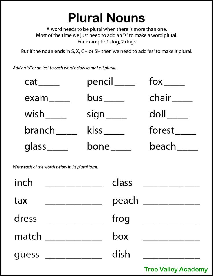 30 English Singular Plural Worksheets For Grade 1