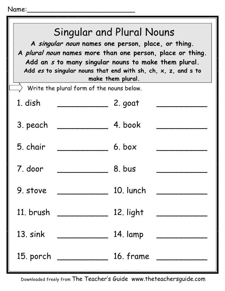 30 English Singular Plural Worksheets For Grade 1