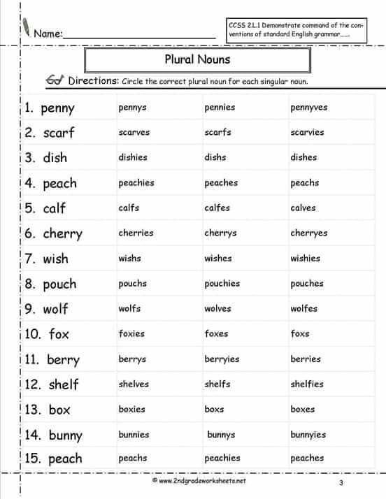 30 English Singular Plural Worksheets For Grade 1