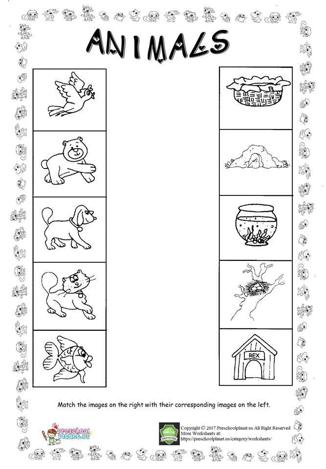 30 English Worksheets For Kindergarten Animals