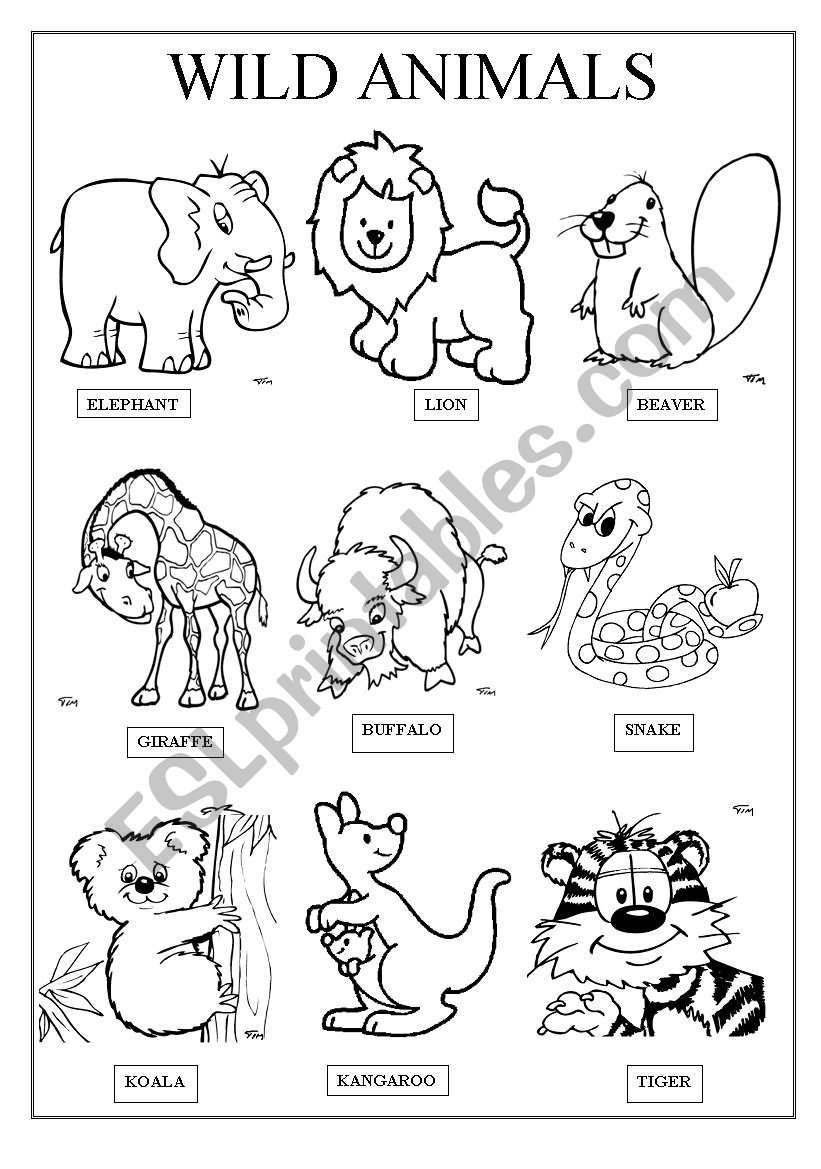 30 English Worksheets For Kindergarten Animals