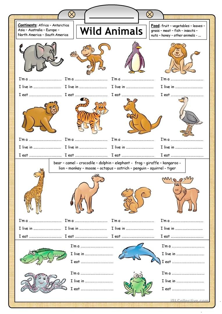 30 English Worksheets For Kindergarten Animals