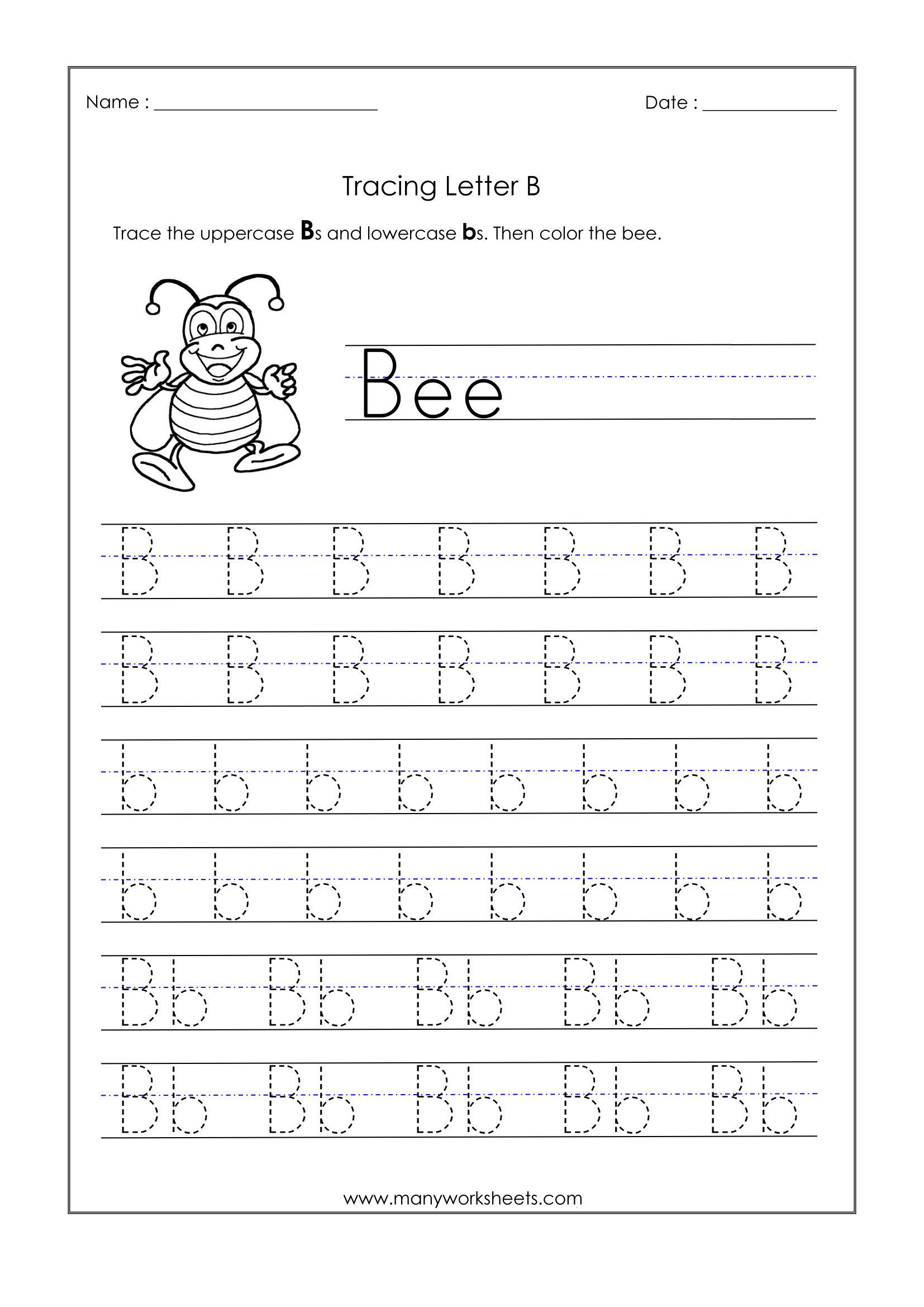 30 Kindergarten Letter B Worksheets