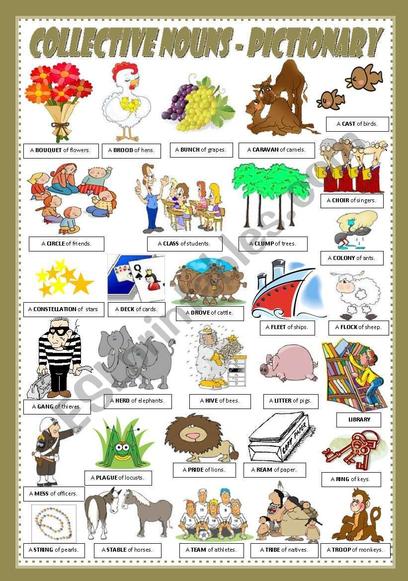 35 Collective Nouns Worksheet 2Nd Grade Worksheets