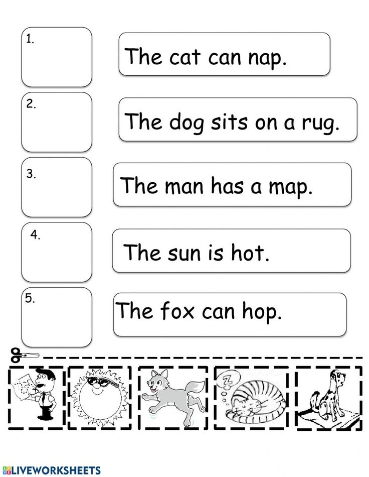 35 Cvc Worksheets Kindergarten Simple Sentences