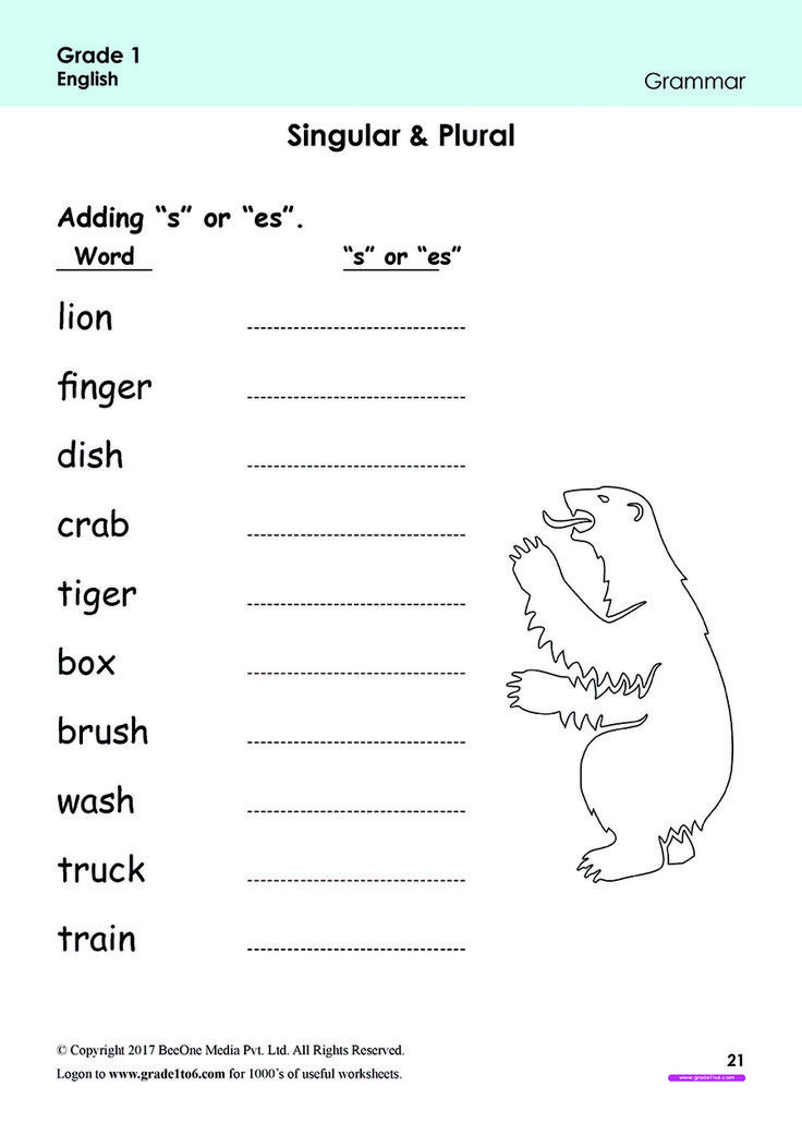 35 English Singular Plural Worksheets For Grade 1