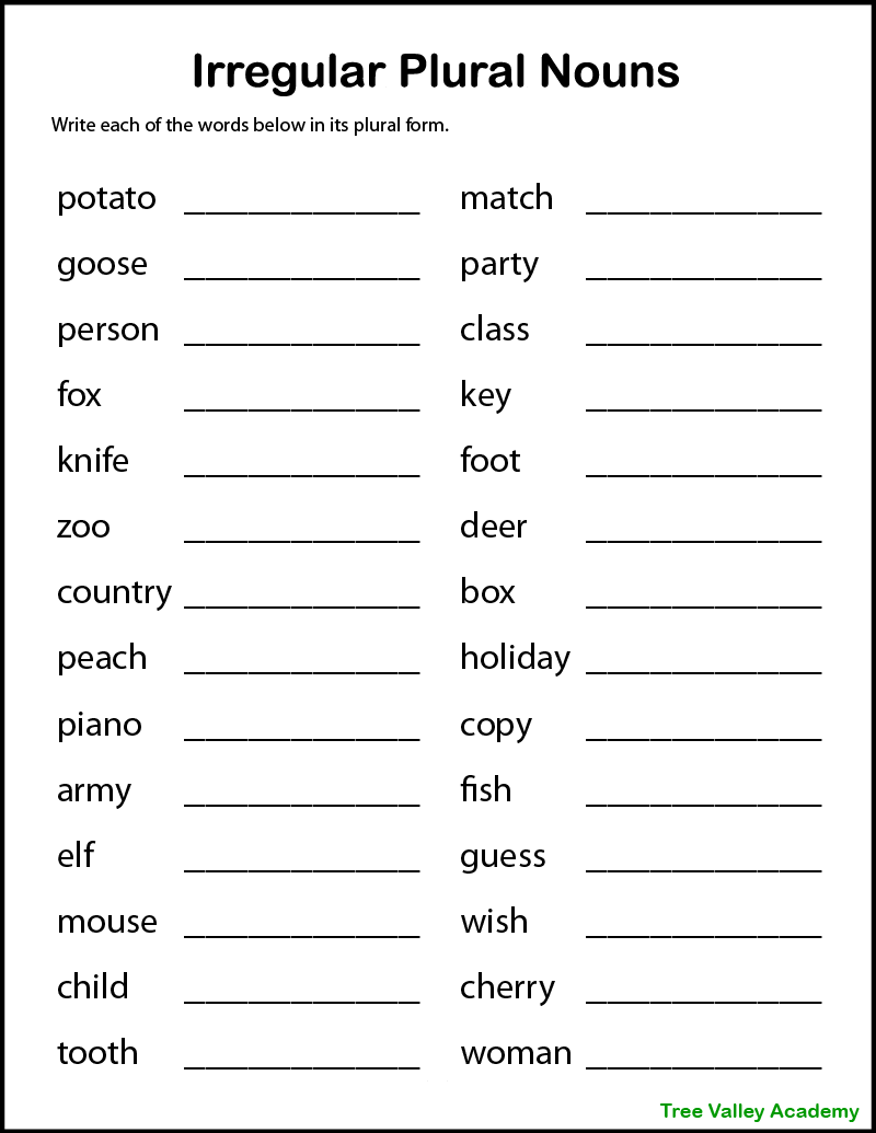 35 English Singular Plural Worksheets For Grade 1