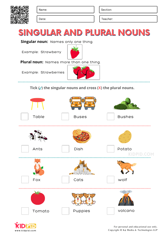 35 English Singular Plural Worksheets For Grade 1