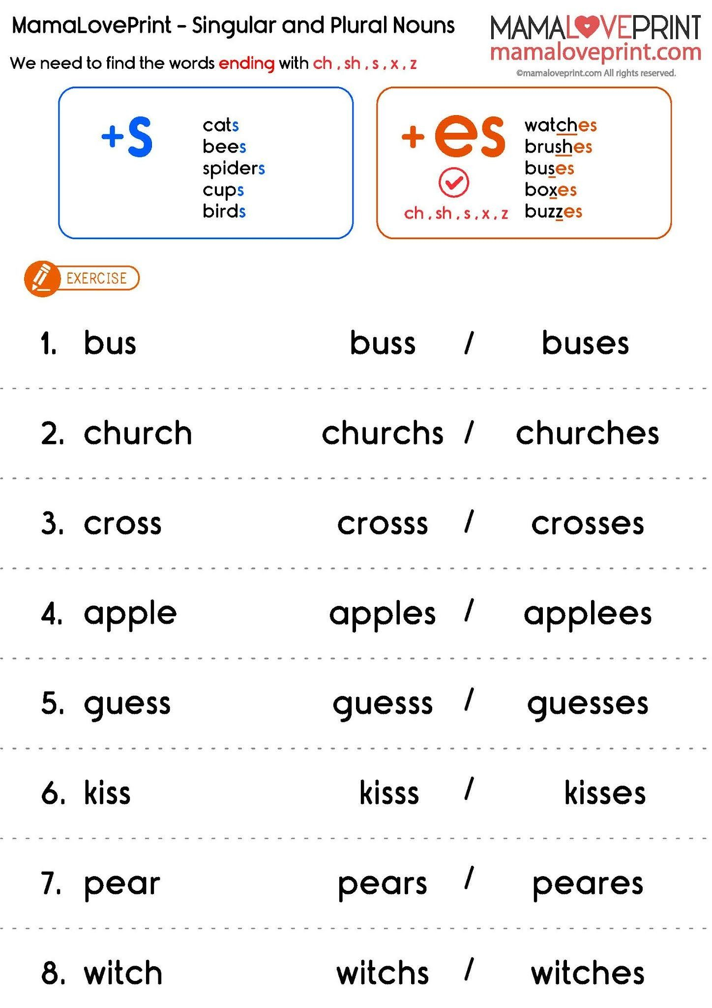 35 English Singular Plural Worksheets For Grade 1
