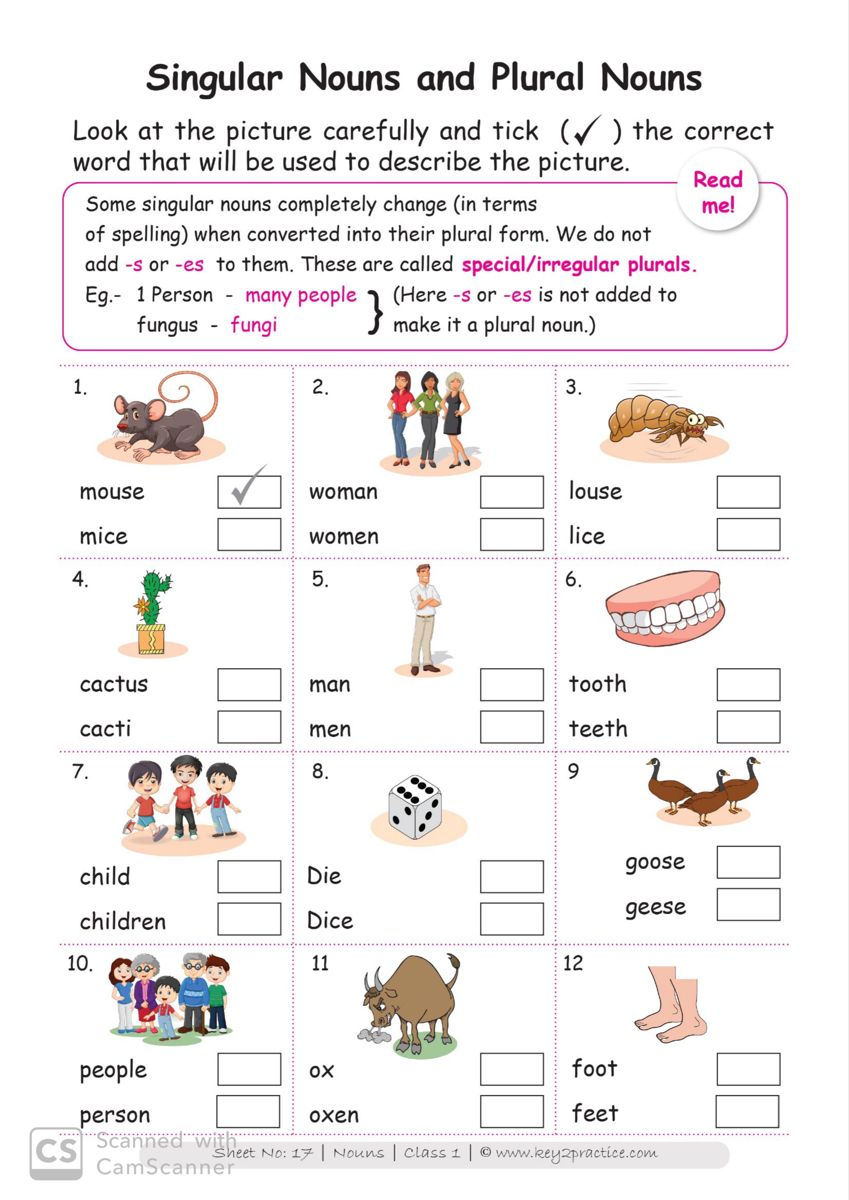 35 English Worksheets For Grade 1 For Kids