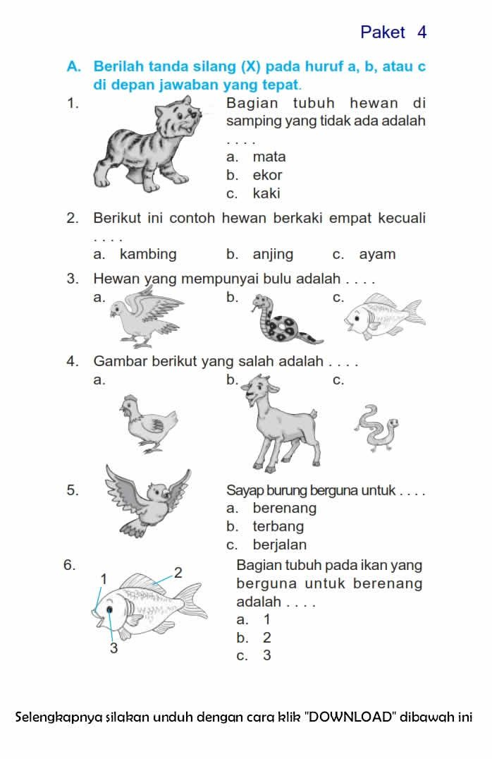 35 Kindergarten Worksheets Bahasa Indonesia