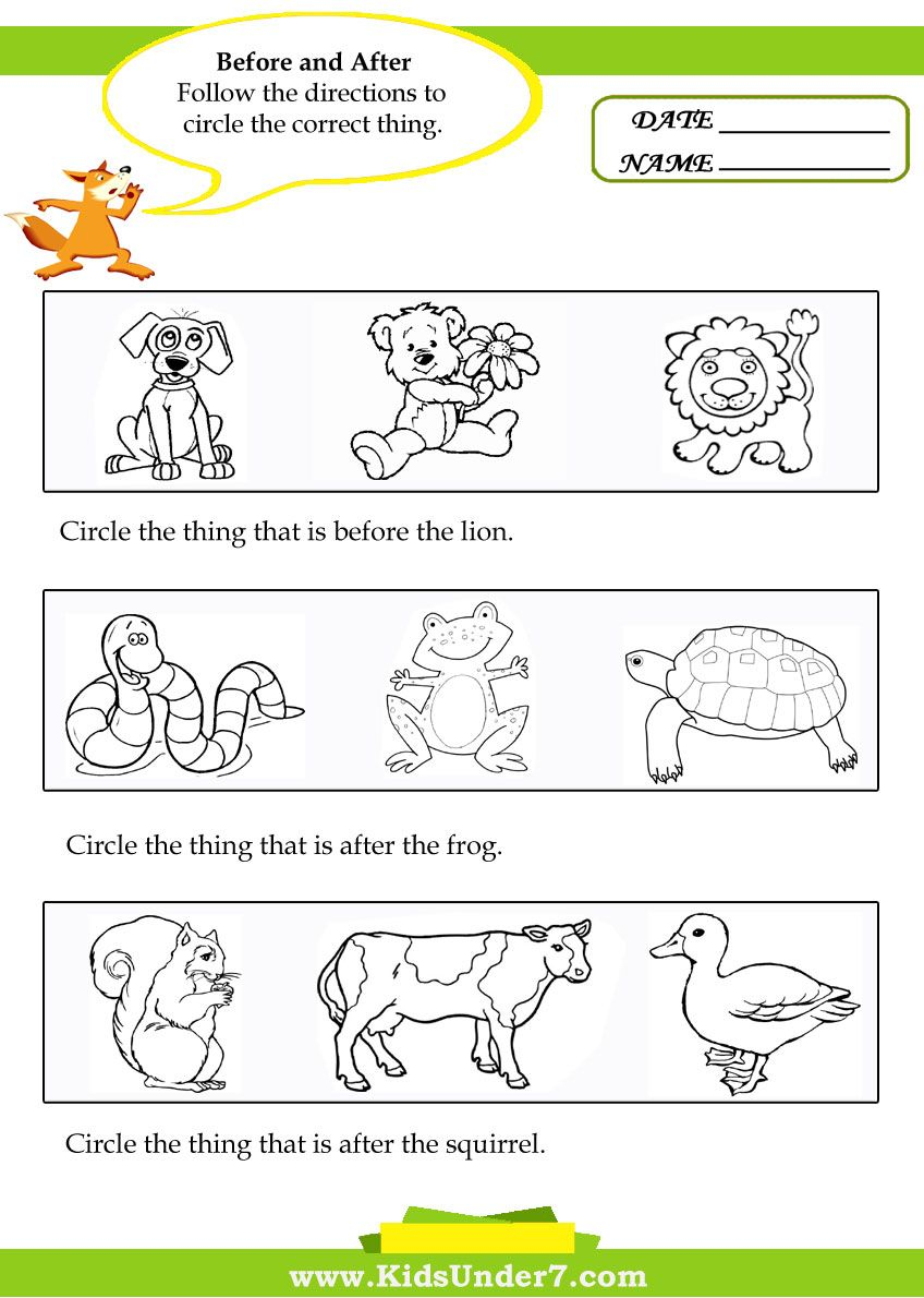 21 Before And After Worksheets Kindergarten Math