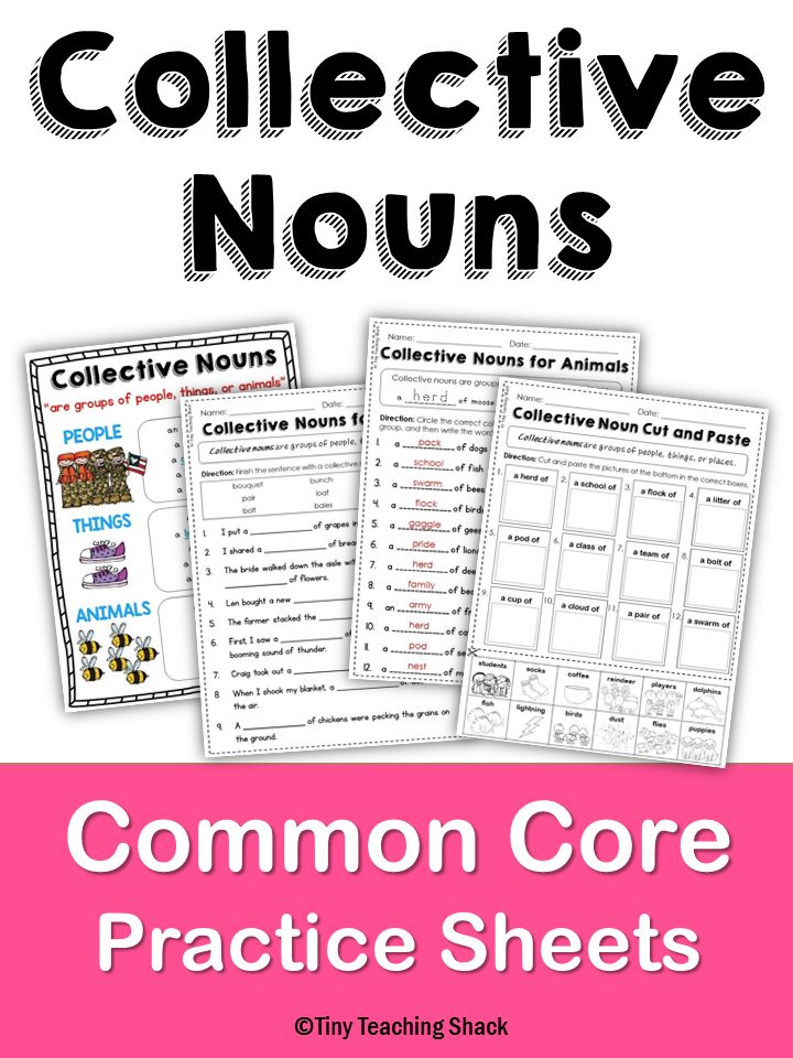 21 Collective Nouns Worksheet 2Nd Grade Worksheets