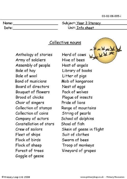 21 Collective Nouns Worksheet 2Nd Grade Worksheets