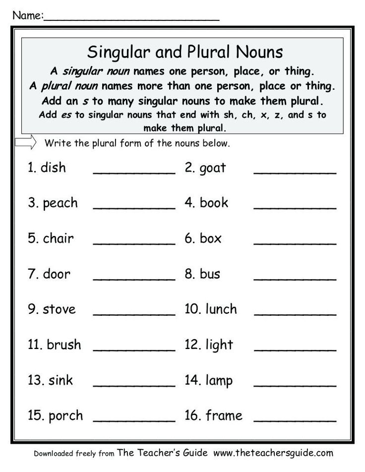 21 English Singular Plural Worksheets For Grade 1