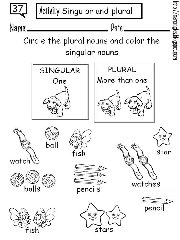 21 English Singular Plural Worksheets For Grade 1
