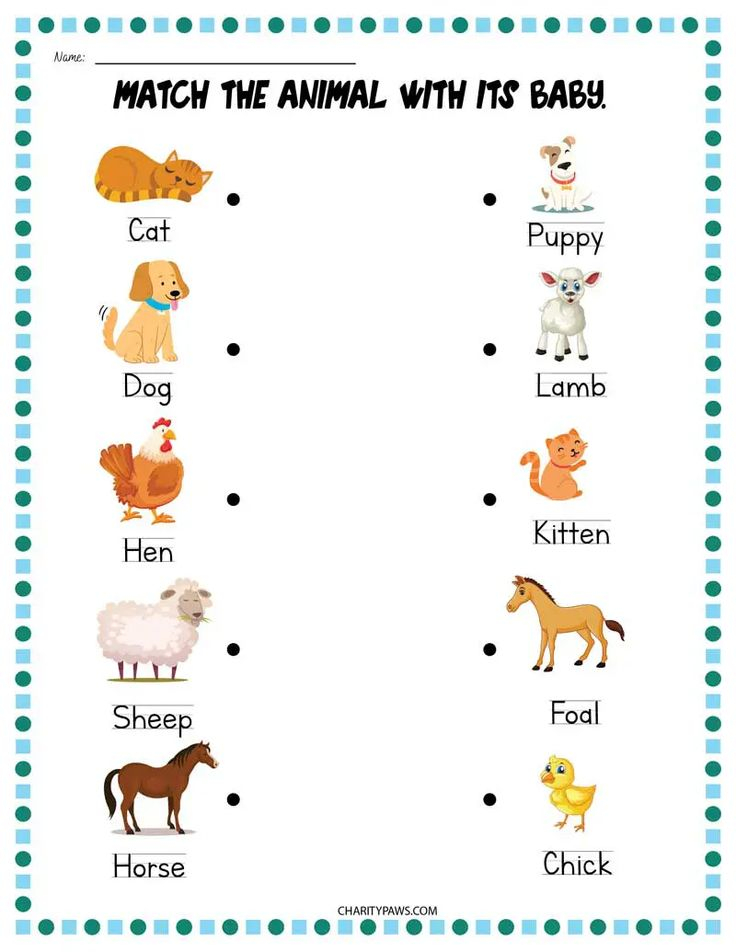 21 English Worksheets For Kindergarten Animals