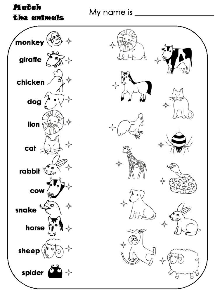 21 English Worksheets For Kindergarten Animals