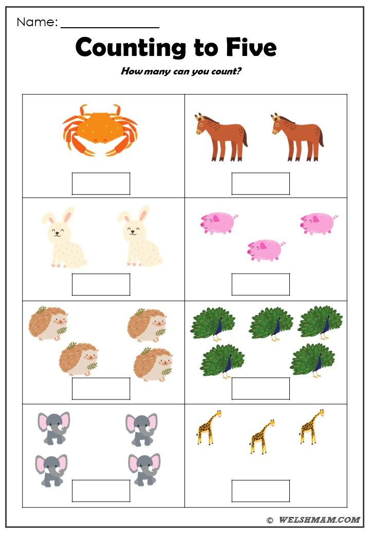 21 Preschool Math Worksheets Before And After