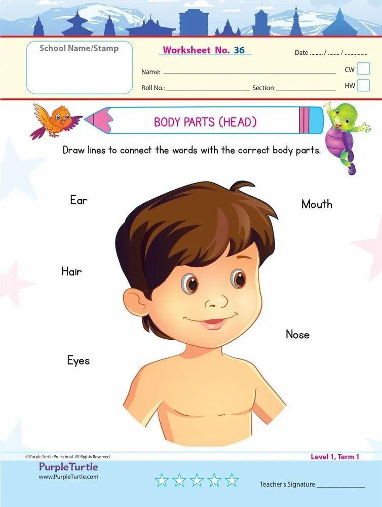 Preschool Worksheets for Nursery English Maths EVS 100