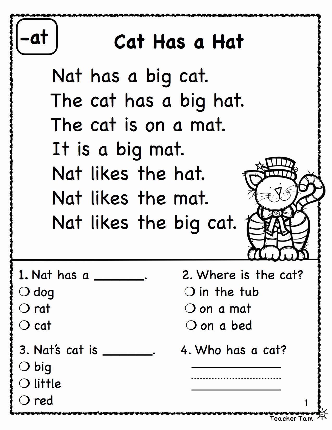 Reading Comprehension Worksheet For Preschool